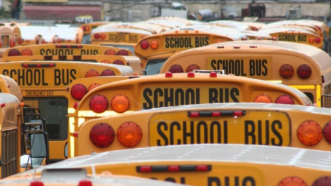 Школьным автобусам отменили плату за автомагистрали