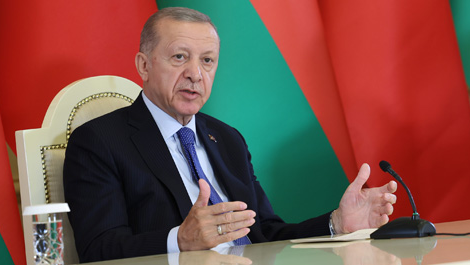 Эрдоган заблудился в зерновом лабиринте: СМИ
