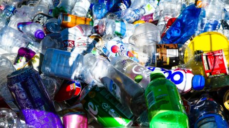 Цветные пластиковые бутылки в России планируют запретить в 2024 году