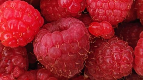 Польские производители малины возмутились из-за наплыва украинских ягод
