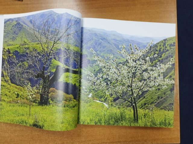 КАРАБАХ. СТРАНИЦЫ ПАМЯТИ ГРИГОРИЯ ГАБРИЭЛЯНЦА