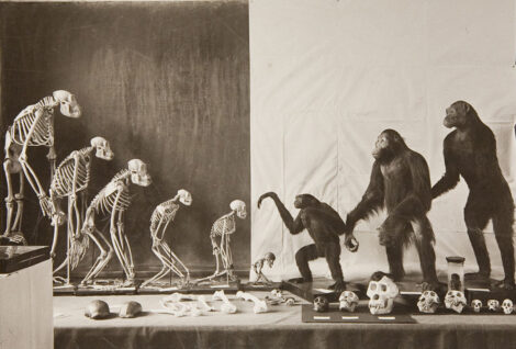 Музей Дарвина — Храм эволюции и человеческого познания