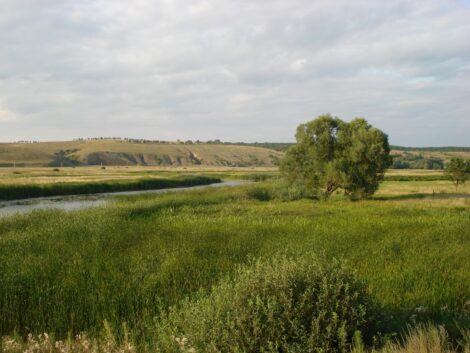 Граница ветров — Плато Укок, Алтай