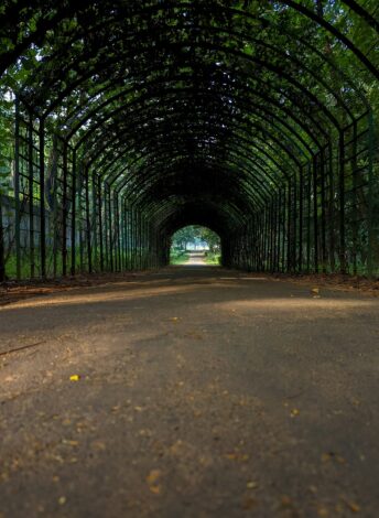 Тоннель Любви Кировской Глубинки — Живой Коридор Чудес