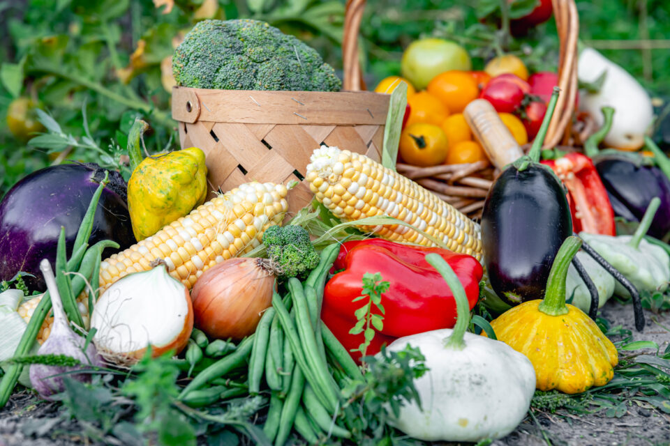 Цены на сельхозпродукцию рекордно выросли